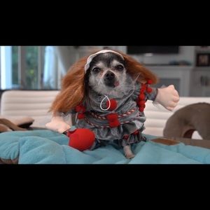 hey. I’m just trying to pay my rent